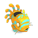Pet