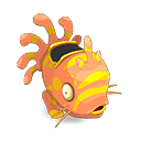 Pet