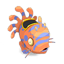 Pet