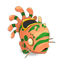 Pet