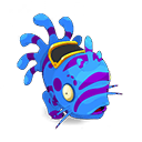 Pet
