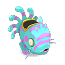 Pet
